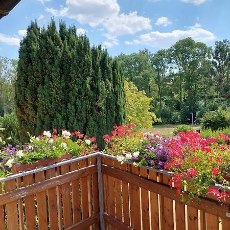Ferienwohnung Meissner Bad Rodach Luaran gambar